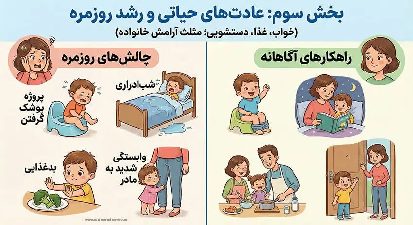 Vital habits and daily growth webp
